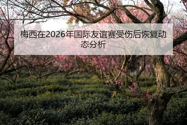 梅西在2026年国际友谊赛受伤后恢复动态分析