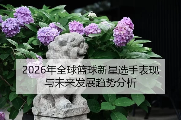 nian-quan-qiu-lan-qiu-xin-xing-xuan-shou-biao-xian-yu-wei-lai-fa-zhan-qu-shi-fen-xi-2-620.jpg